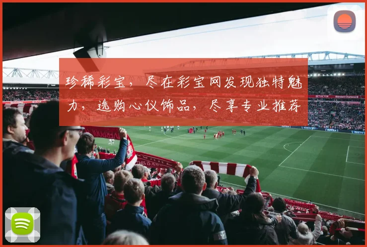 珍稀彩宝，尽在彩宝网发现独特魅力，选购心仪饰品，尽享专业推荐，品质生活从此开始，两步轻松购