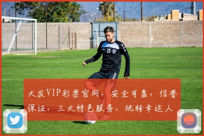 大发VIP彩票官网，安全可靠，信誉保证，三大特色服务，玩转幸运人生，三重惊喜，等你来挑战