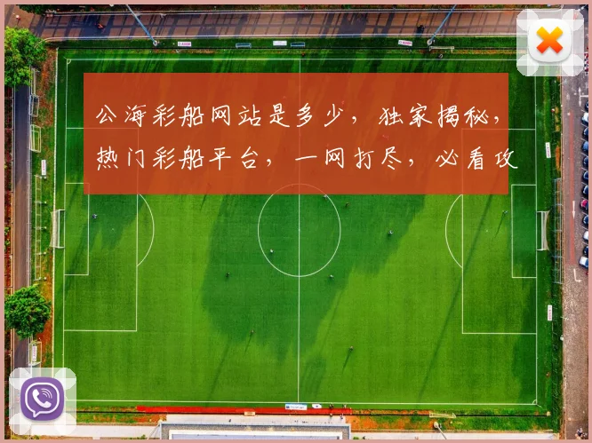 公海彩船网站是多少，独家揭秘，热门彩船平台，一网打尽，必看攻略