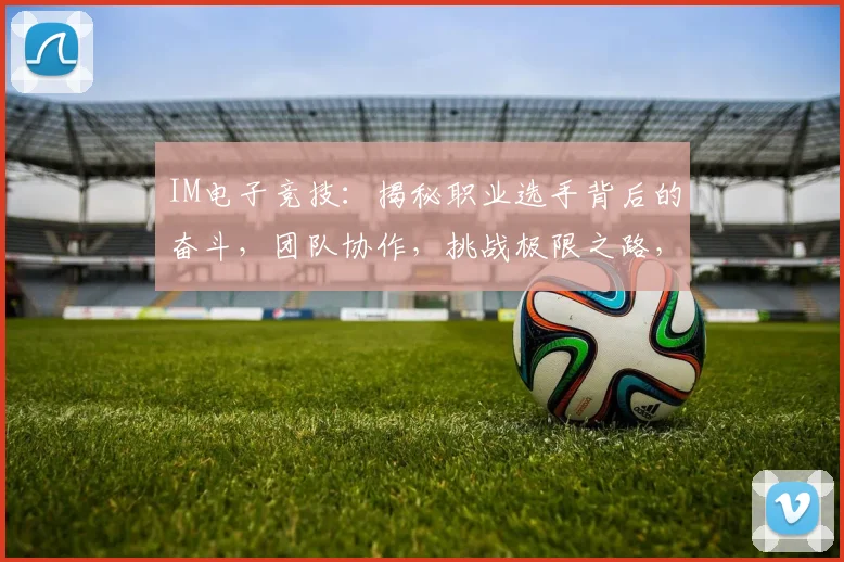 IM电子竞技：揭秘职业选手背后的奋斗，团队协作，挑战极限之路，共赴荣耀之巅